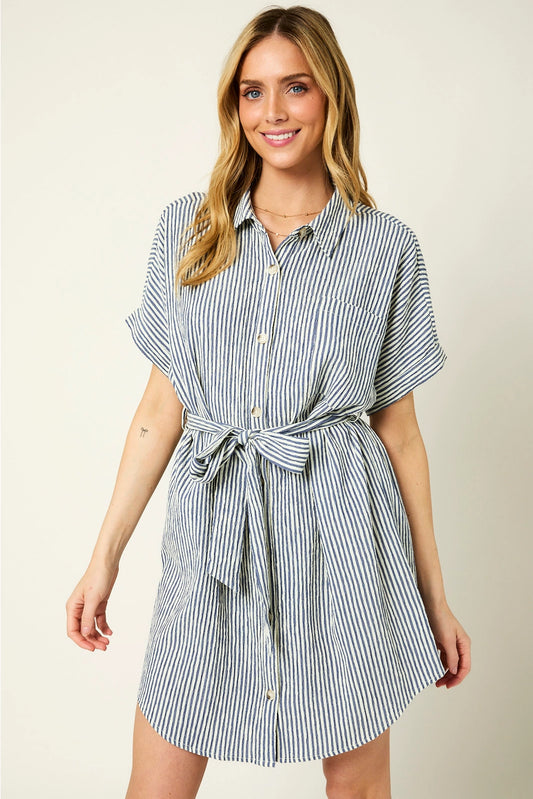 Go-To Shirt Dress