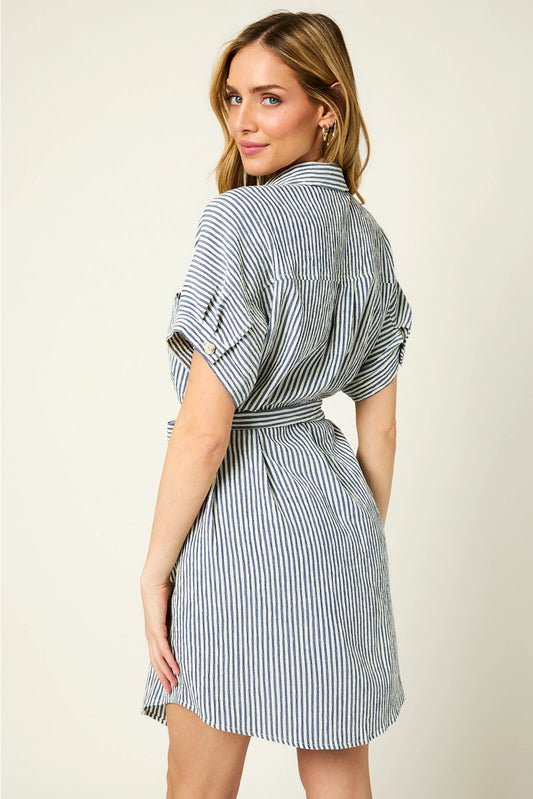Go-To Shirt Dress